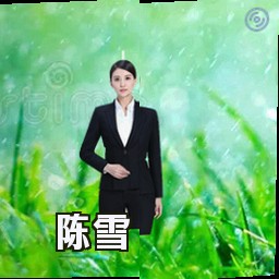 陈雪